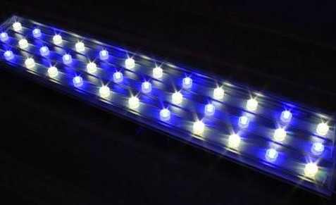 ��ʮ������ڇ��HLEDչ����Щ���c