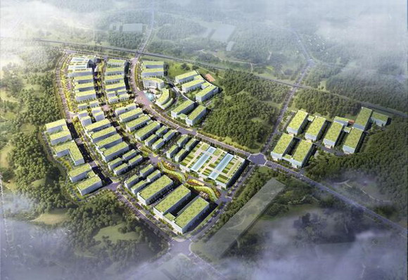 ���Ѽ��F�l��2019�ϰ���ؔ�󣺠I��ͬ�ȱ����s50%